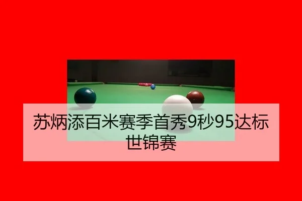 su-bing-tian-bai-mi-sai-ji-shou-xiu-miao-da-biao-shi-jin-sai-3-849.jpg
